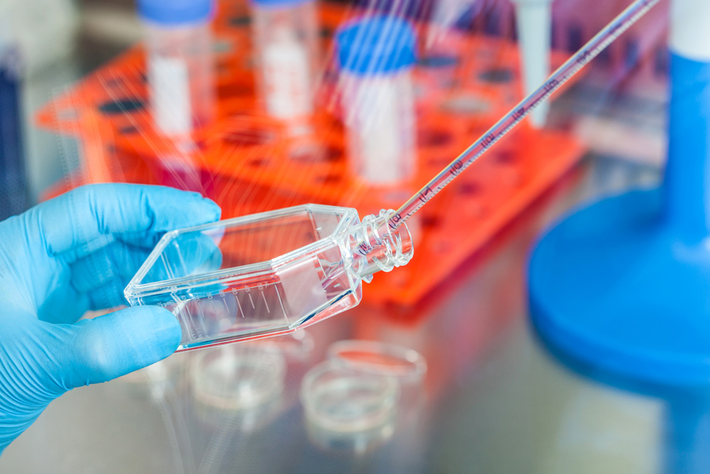 Scientist pipetting into a cell culture flask in the laboratory