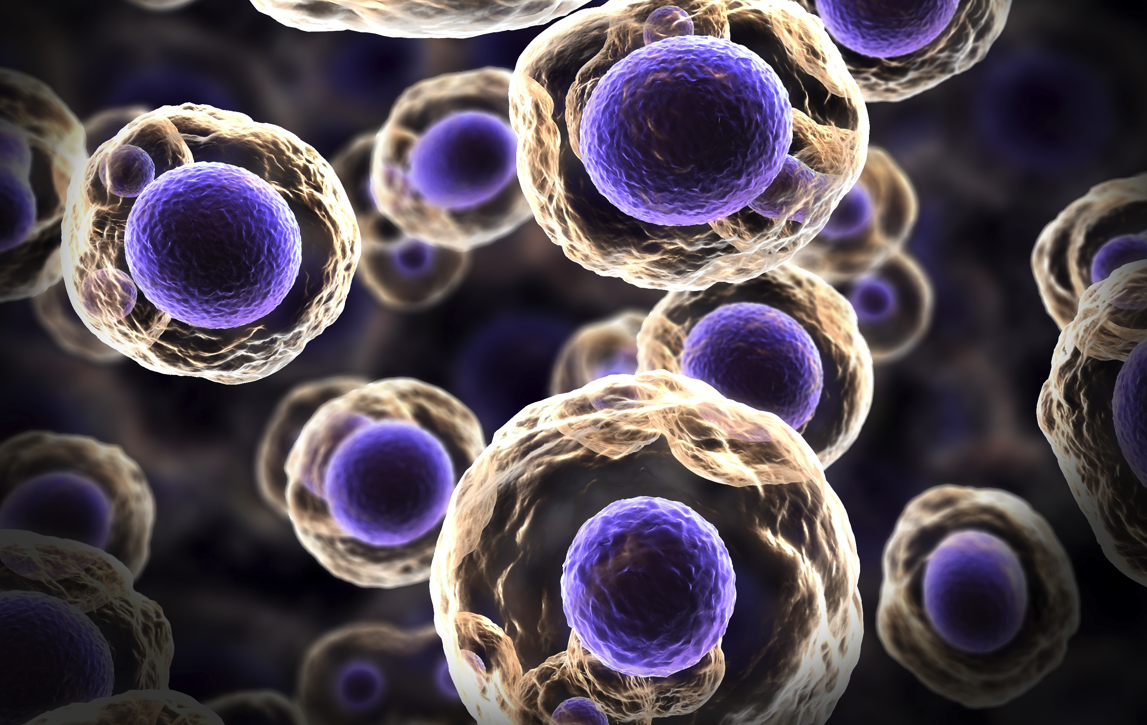 Read more about the article Life Science Group Secures Grant Funding for CellShip