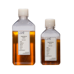 Foetal Bovine Serum (FBS)