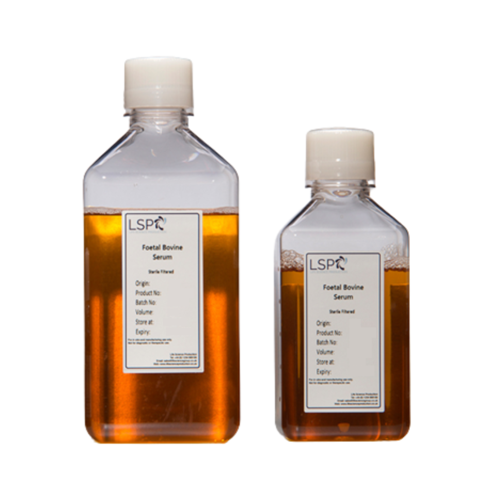 Foetal Bovine Serum (FBS)