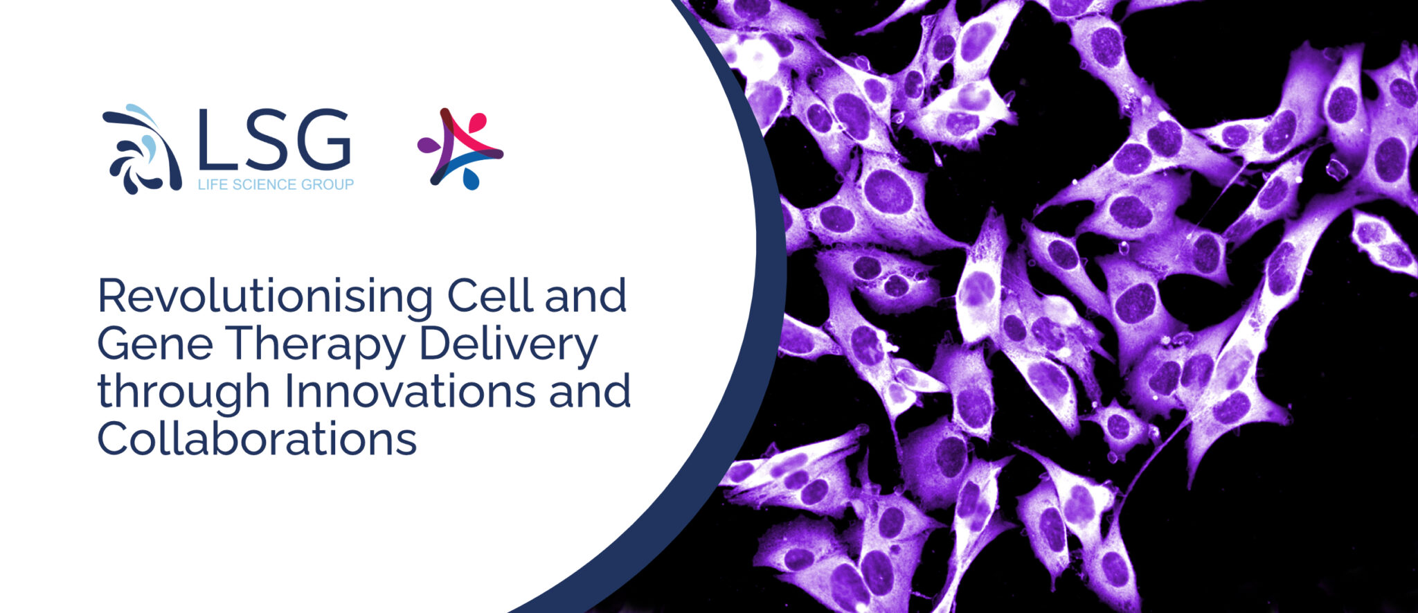 Life Science Group Finalist for Transformation Award at 2023 KTP Best