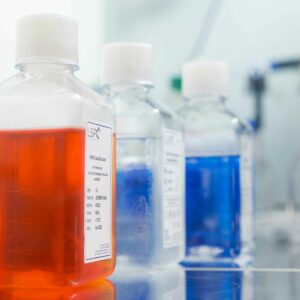 Bovine Serum Albumin (BSA)