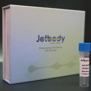 Anti-EGFR VHH Antibody