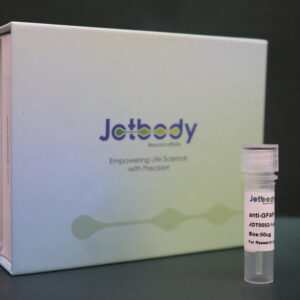 Anti-GFAP VHH Antibody