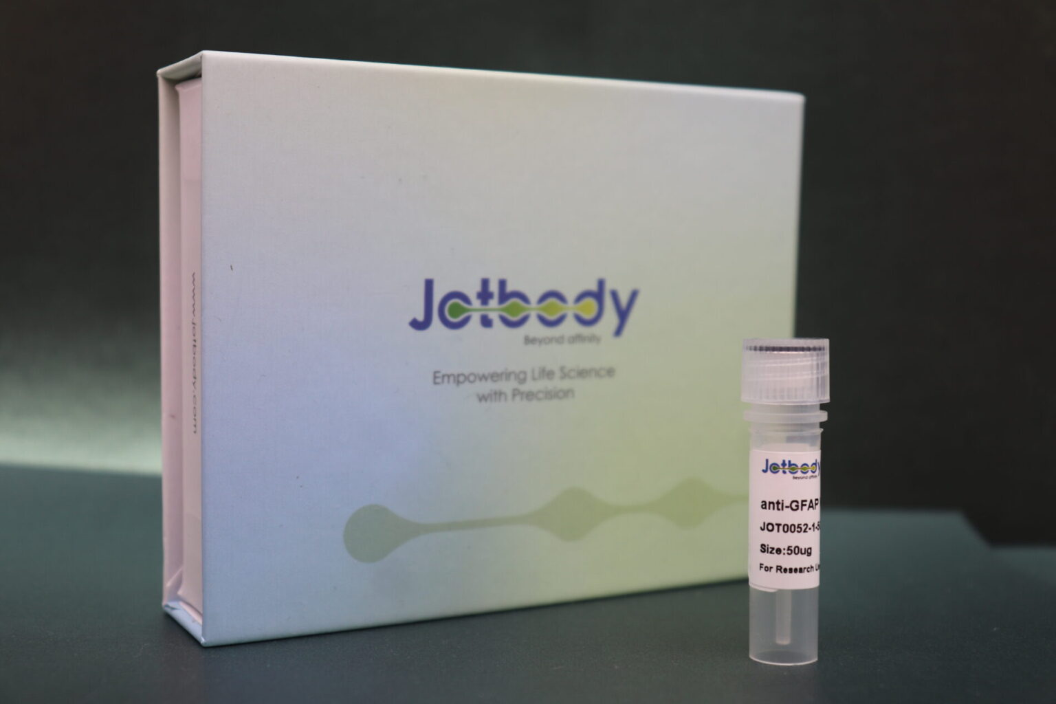 Anti-GFAP VHH Antibody