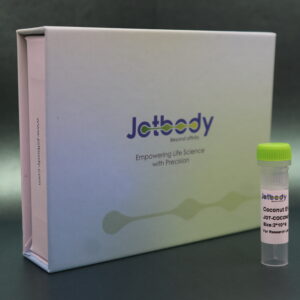 Coconut Derived Extracellular Vesicles