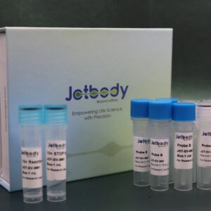 EVcraft Extracellular Vesicle (EV) Surface Modification Kit