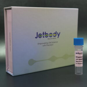 Gingseng Cells Derived Extracellular Vesicles