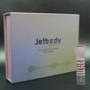 Human Bone Marrow MSC Derived Extra Cellular Vesicles