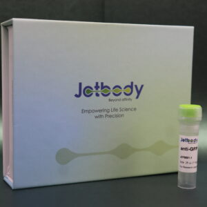 Anti-GFP VHH Antibody