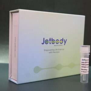 Anti-GFP VHH Antibody, Biotinylated