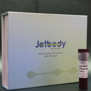 Anti-GFP VHH Antibody (iFluor®488)