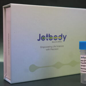 Anti-GFP VHH Antibody (Alexa Fluor®568)