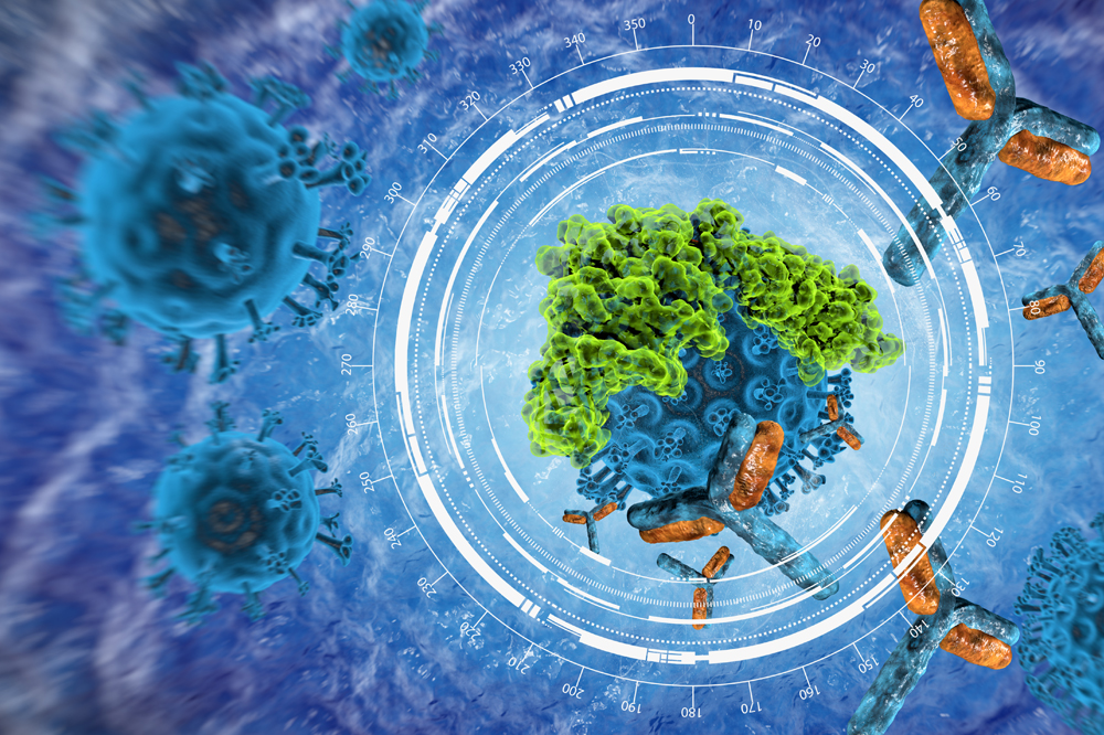 Antibodies targeting a cell, illustrating custom antibody development