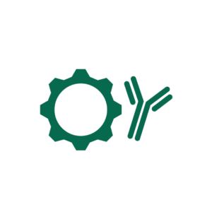 Antibody Production Services