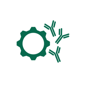 Antibody Production Services